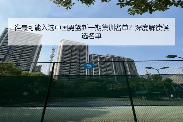谁最可能入选中国男篮新一期集训名单？深度解读候选名单
